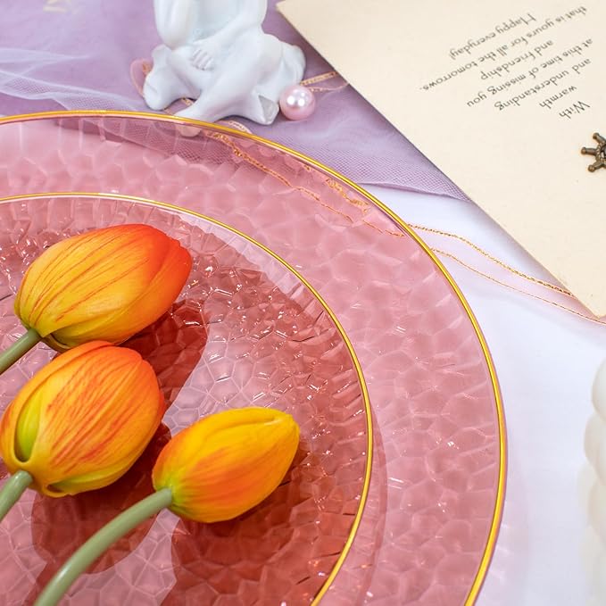 Burgundy Elegance 60pc Disposable Plate Set