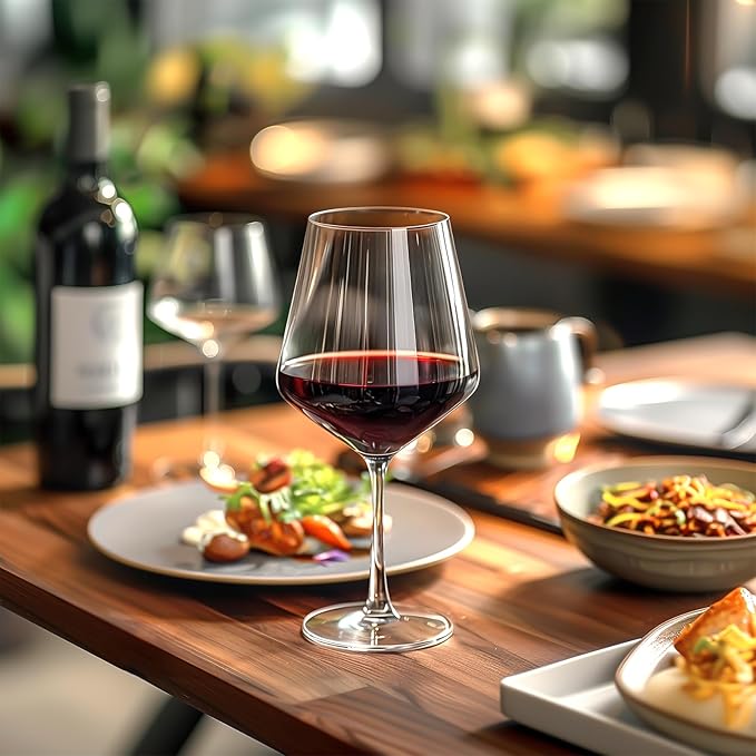 Eterna Elegant Plastic Wine Glasses 6-Pack