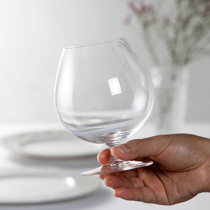 Riedel Crystal Cognac Glass Duo