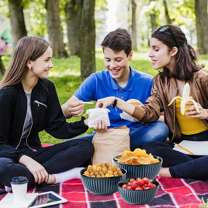 Hasense Navy Ceramic Nesting Bowls 3-Piece Set